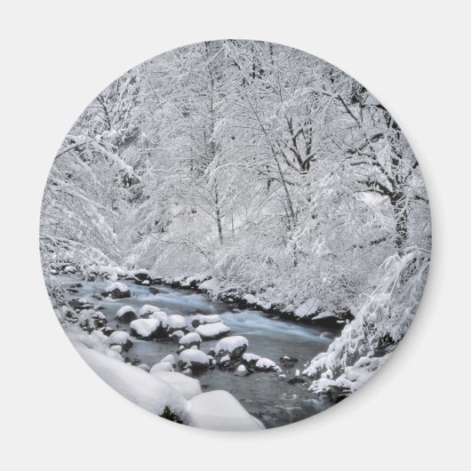 Schneeweißer Bach landschaftlich, Oregon Magnet (Vorne)