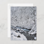 Schneeweißer Bach landschaftlich, Oregon Postkarte (Vorne/Hinten)