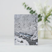 Schneeweißer Bach landschaftlich, Oregon Postkarte (Stehend Vorderseite)