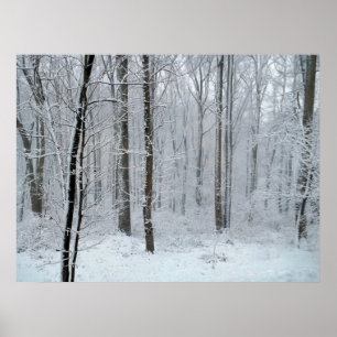 Schneeweißer Pappelwald Poster