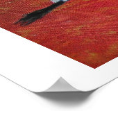 Schneeweißer Sonnenuntergang Poster (Ecke)