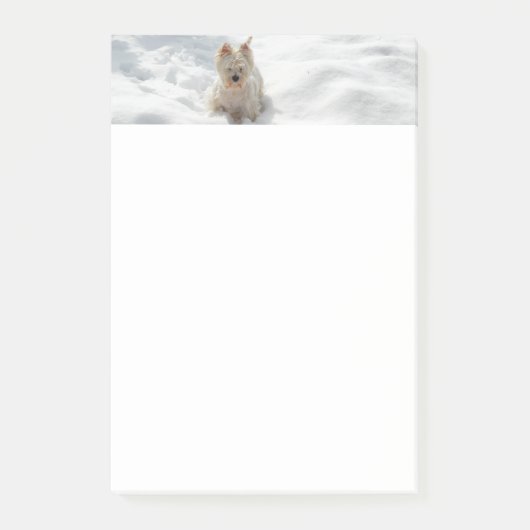Schneeweißer Westie Foto 4x6 Note Pad Post-it Klebezettel (Vorderseite)