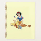 Schneeweißplaner Planer (Vorderseite)