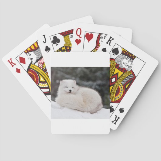 Schneewetter Tiefschneeeis Arctic Fox Spielkarten (Rückseite)