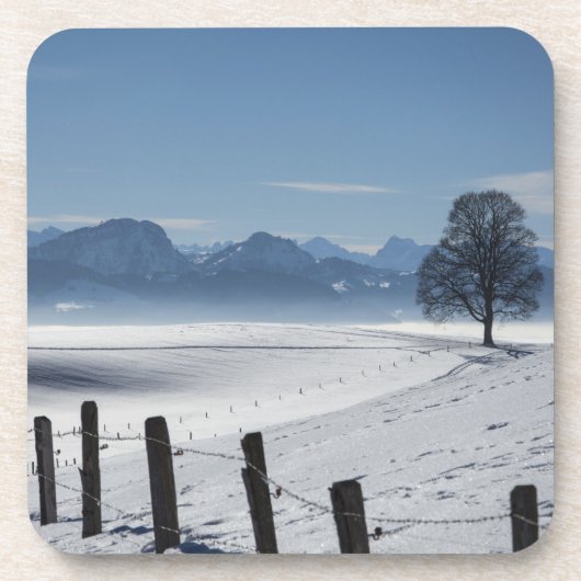 Schneewinterland Landschaft Foto Getränkeuntersetzer (Vorderseite)