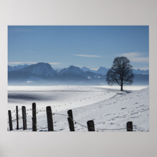 Schneewinterland Landschaft Foto Poster