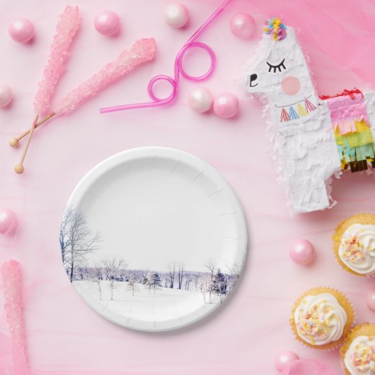 Schneewinterlandschaft Pappteller (Party)