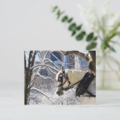 Schneewinterpferd im Zentralpark Postkarte (Stehend Vorderseite)