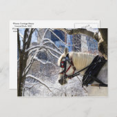 Schneewinterpferd im Zentralpark Postkarte (Vorne/Hinten)