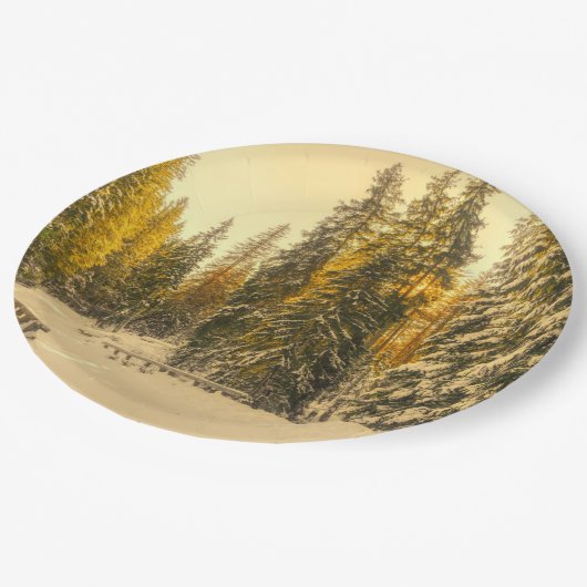 Schneewinterweg mit Pinienbäumen Pappteller (Schrägansicht)