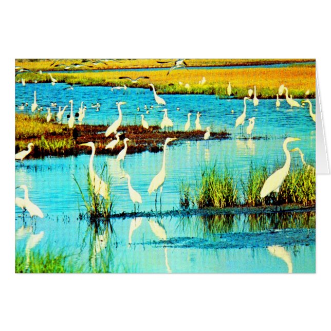 Schneewittchen (Vorderseite (Horizontal))