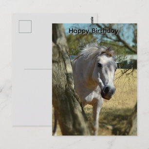 Schneewittchen Das Pferd, Geburtstagskarte Postkarte