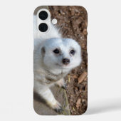 Schneewittchen-Erdmännchen, Case-Mate iPhone Hülle (Rückseite)