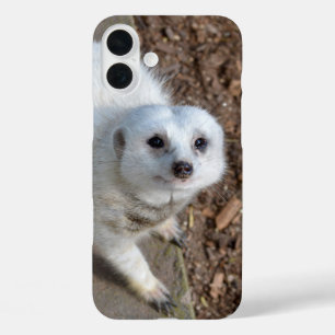 Schneewittchen-Erdmännchen, iPhone 16 Plus Hülle
