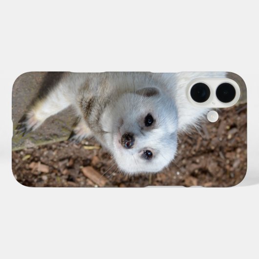 Schneewittchen-Erdmännchen, Case-Mate iPhone Hülle (Rückseite (Horizontal))
