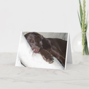 Schneewittchen Karte