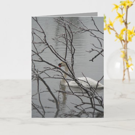 Schneewittchen Karte (Gelbe Blume)