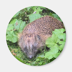 Schneewittchen Magnet