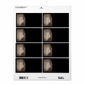 Schneewittchen-Spiegelbaum (Vorne)