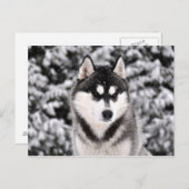 schneezauber postkarte (Vorne/Hinten)