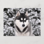 schneezauber postkarte (Vorderseite)