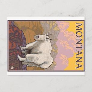 Schneeziege - Montana Postkarte