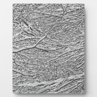 Schneezweige Fotoplatte