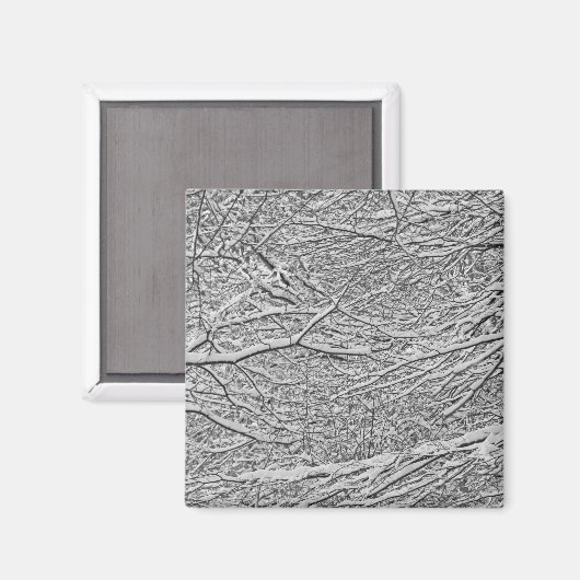 Schneezweige Magnet (Vorderseite/Rückseite)