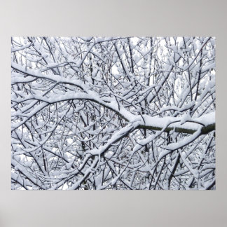 Schneezweige Poster