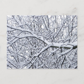 Schneezweige Postkarte