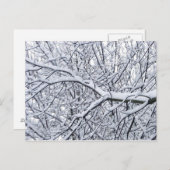 Schneezweige Postkarte (Vorne/Hinten)