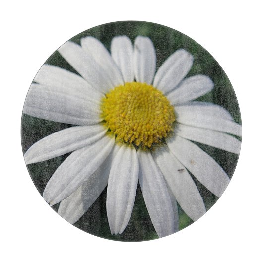 Schneidebrett (Vorderseite)