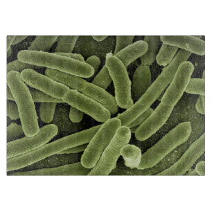 Schneidebrett der Mikroben-Hoch-Res