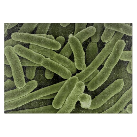 Schneidebrett der Mikroben-Hoch-Res (Vorderseite)