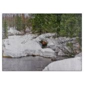 Schneidebrett-Glaselch-wild lebende Tiere Schneidebrett (Vorderseite)