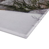 Schneidebrett-Glaselch-wild lebende Tiere Schneidebrett (Ecke)