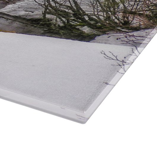 Schneidebrett-Glaselch-wild lebende Tiere Schneidebrett (Ecke)