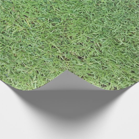 Schneiden Sie Gras-Rasen Geschenkpapier (Ecke)