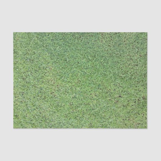 Schneiden Sie Gras-Rasen Seidenpapier (Vorderseite)