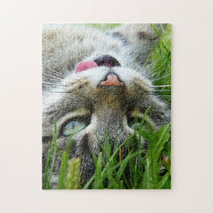 Schneiden Sie Katze puzzels Puzzle