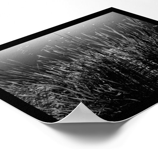 Schneiden von Schatten Poster (Ecke)