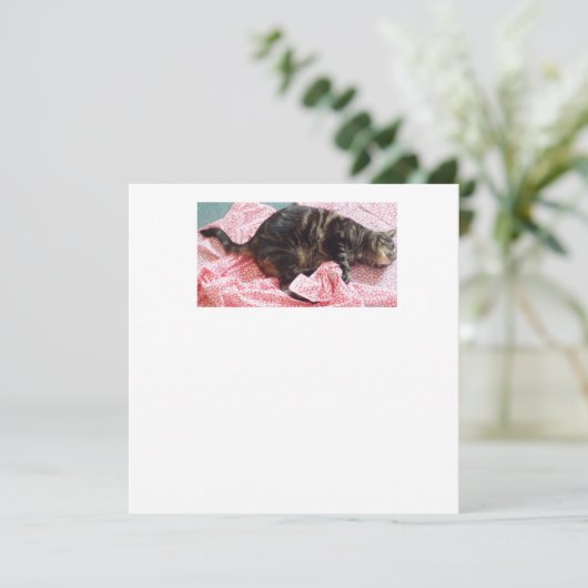 Schneider. Einladung von Dave Square (Stehend Vorderseite)