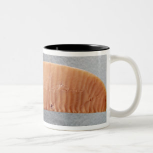 Schneider Zweifarbige Tasse