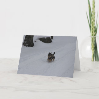 Schneidige entschlossene Welpenkarte Feiertagskarte