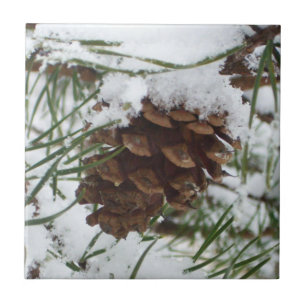 Schneiger Tannenzapfen I Winter-Naturfotografie Fliese