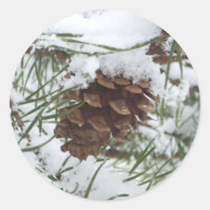 Schneiger Tannenzapfen I Winter-Naturfotografie Runder Aufkleber