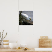 Schneireiher-Foto-Poster Poster (Küche)