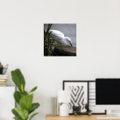 Schneireiher-Foto-Poster Poster (Heimbüro)