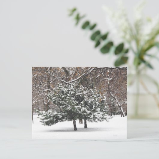 schneit feiertagspostkarte (Stehend Vorderseite)