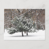 schneit feiertagspostkarte (Vorderseite)